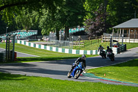 Lower Group Blue Bikes